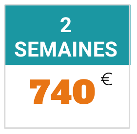 2 semaines HA Camps de basket FFBC