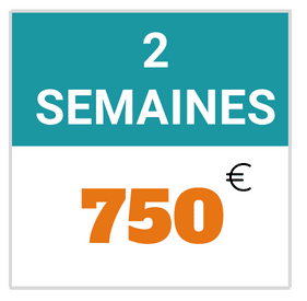 Tarif Camps de basket Pau