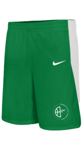 Short Nike FFBC