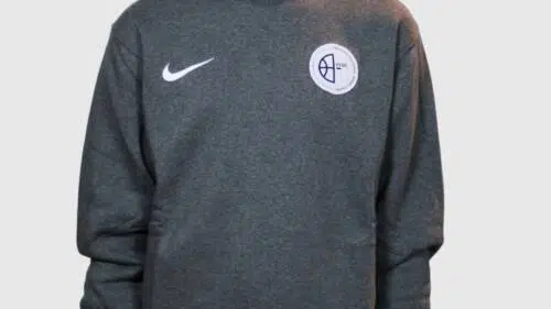 Sweat Nike Gris X FFBC